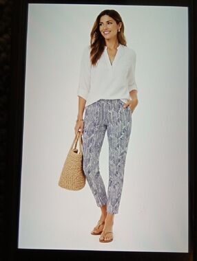 J.Mclaughlin Slim Straight Stretchy Wrinkle Free Preppy Casual Chic Travel Pants